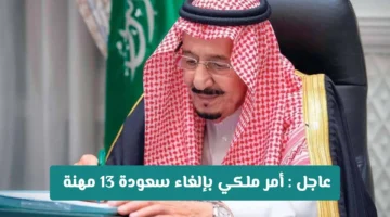 قرار ملكي سعودي يلغى سعودة 13 مهنة ويفتح الباب أمام عودة الوافدين للعمل بها